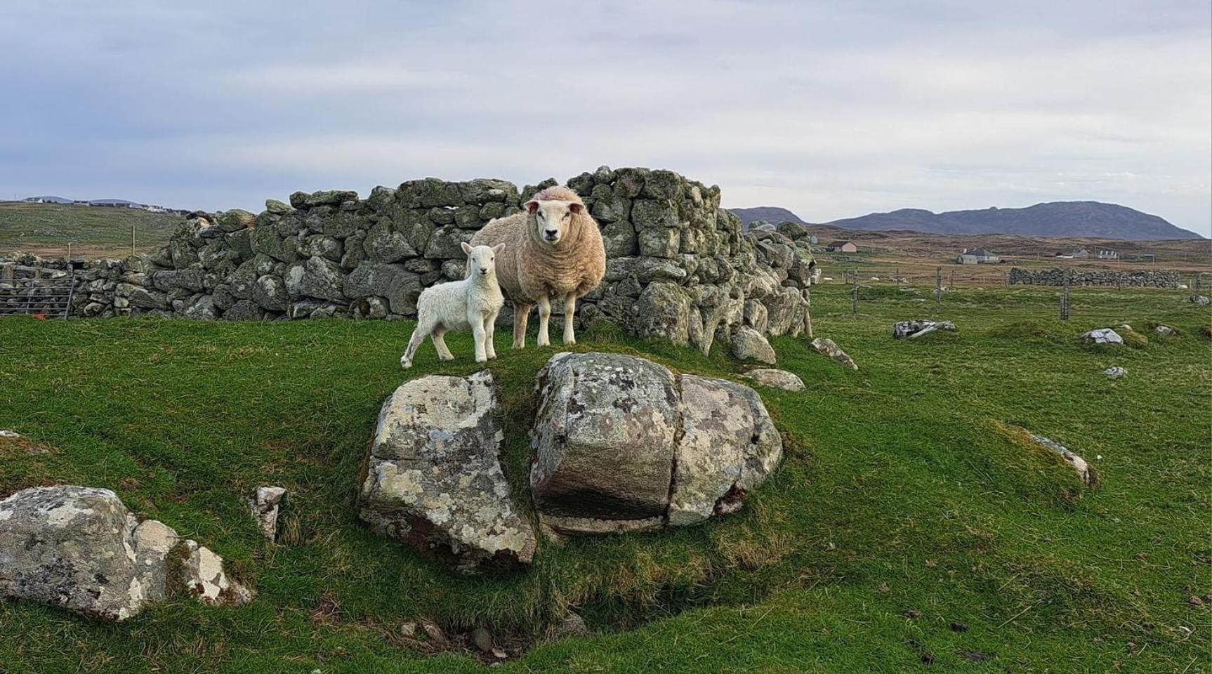 Villa Squealing Pig Bothy Barvas Exterior foto