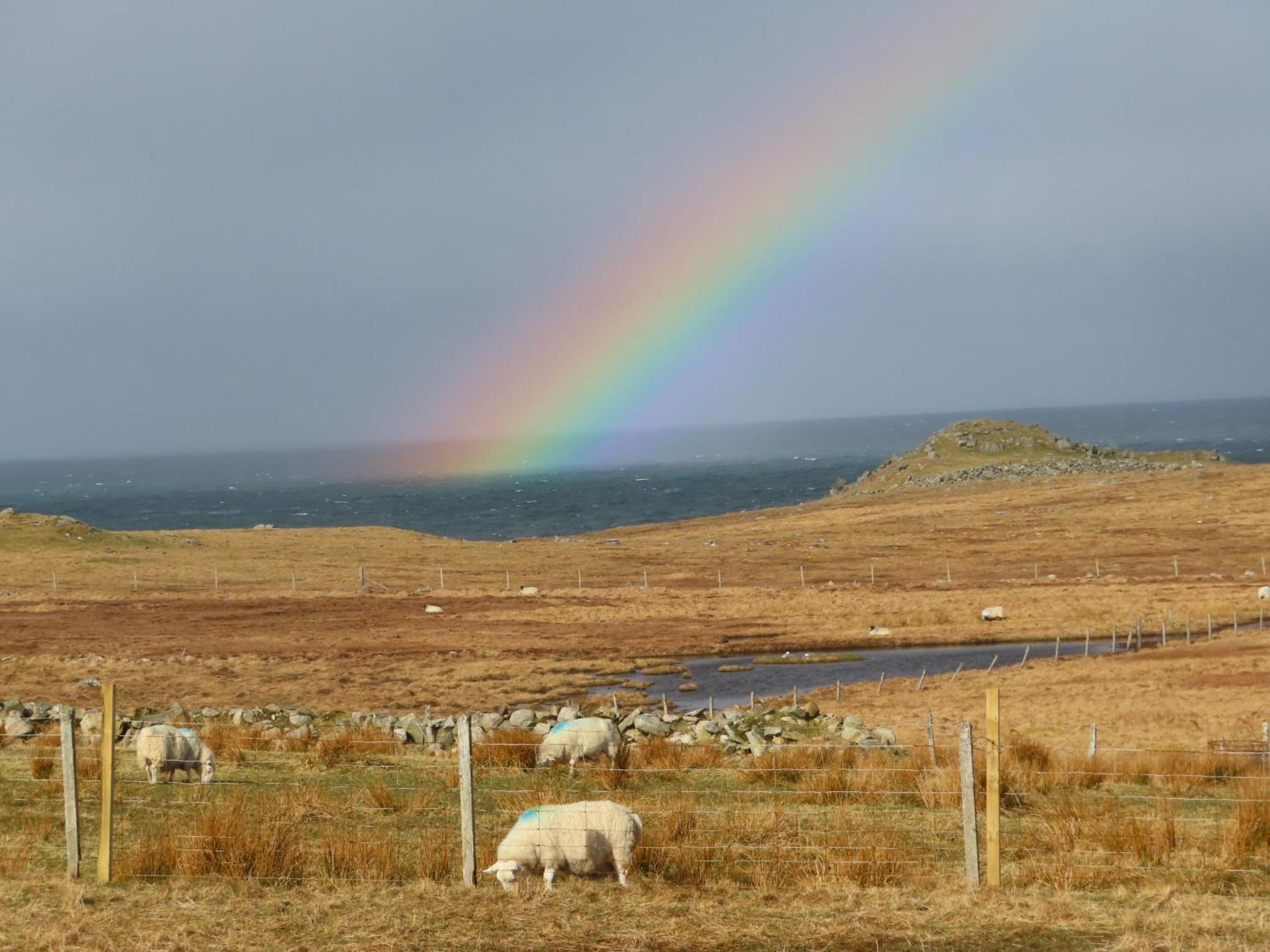 Villa Squealing Pig Bothy Barvas Exterior foto