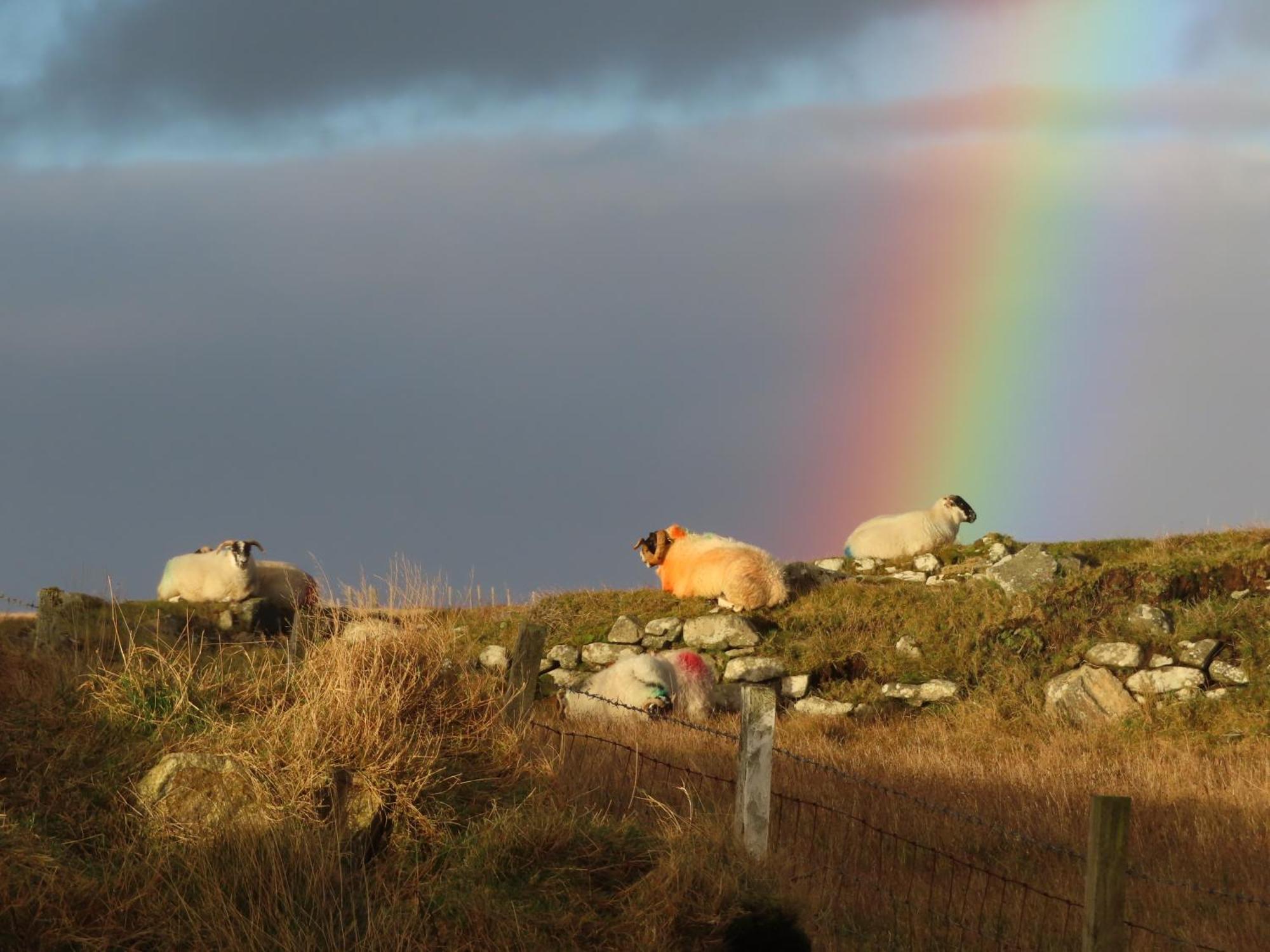 Villa Squealing Pig Bothy Barvas Exterior foto