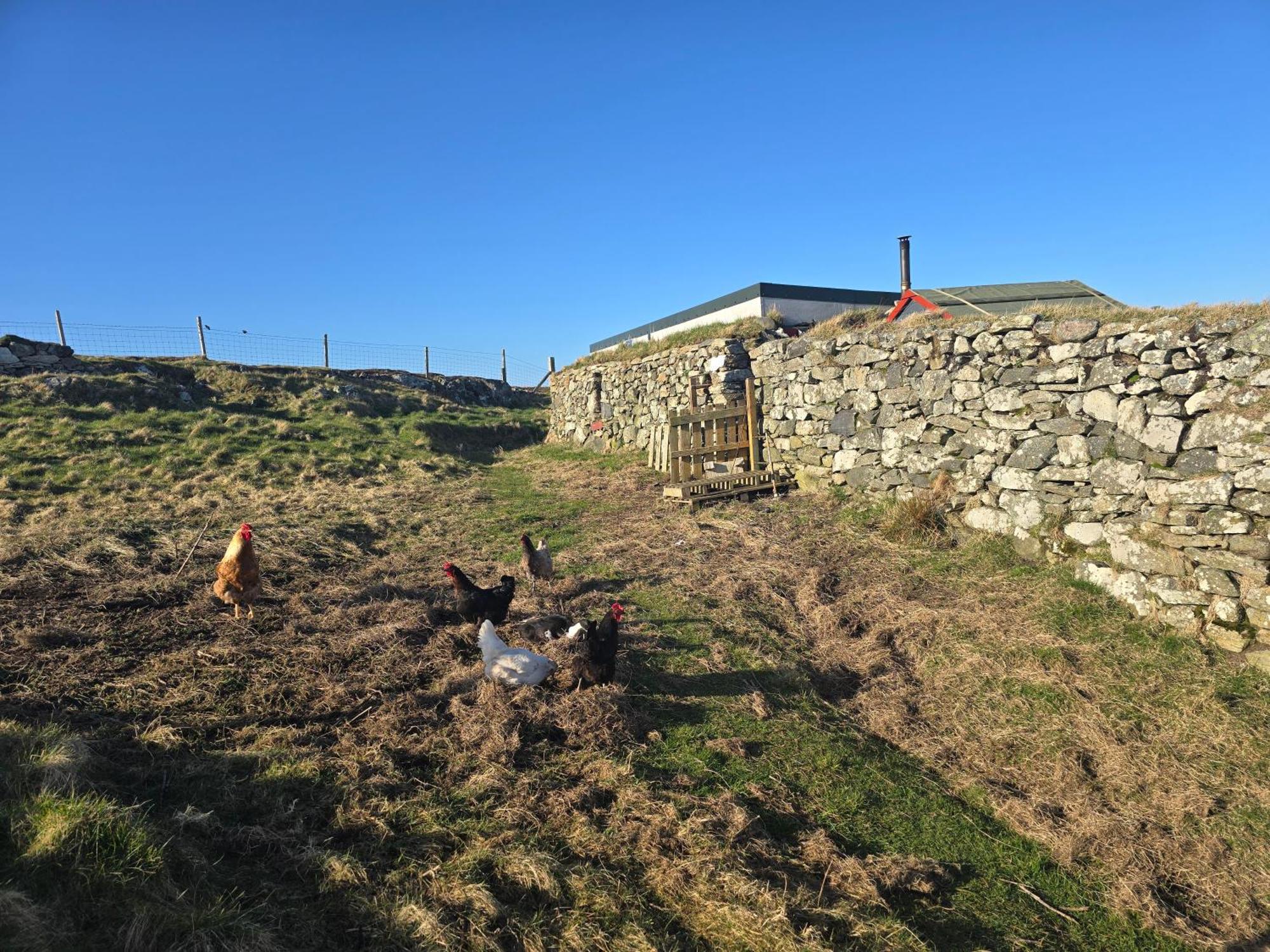 Villa Squealing Pig Bothy Barvas Exterior foto